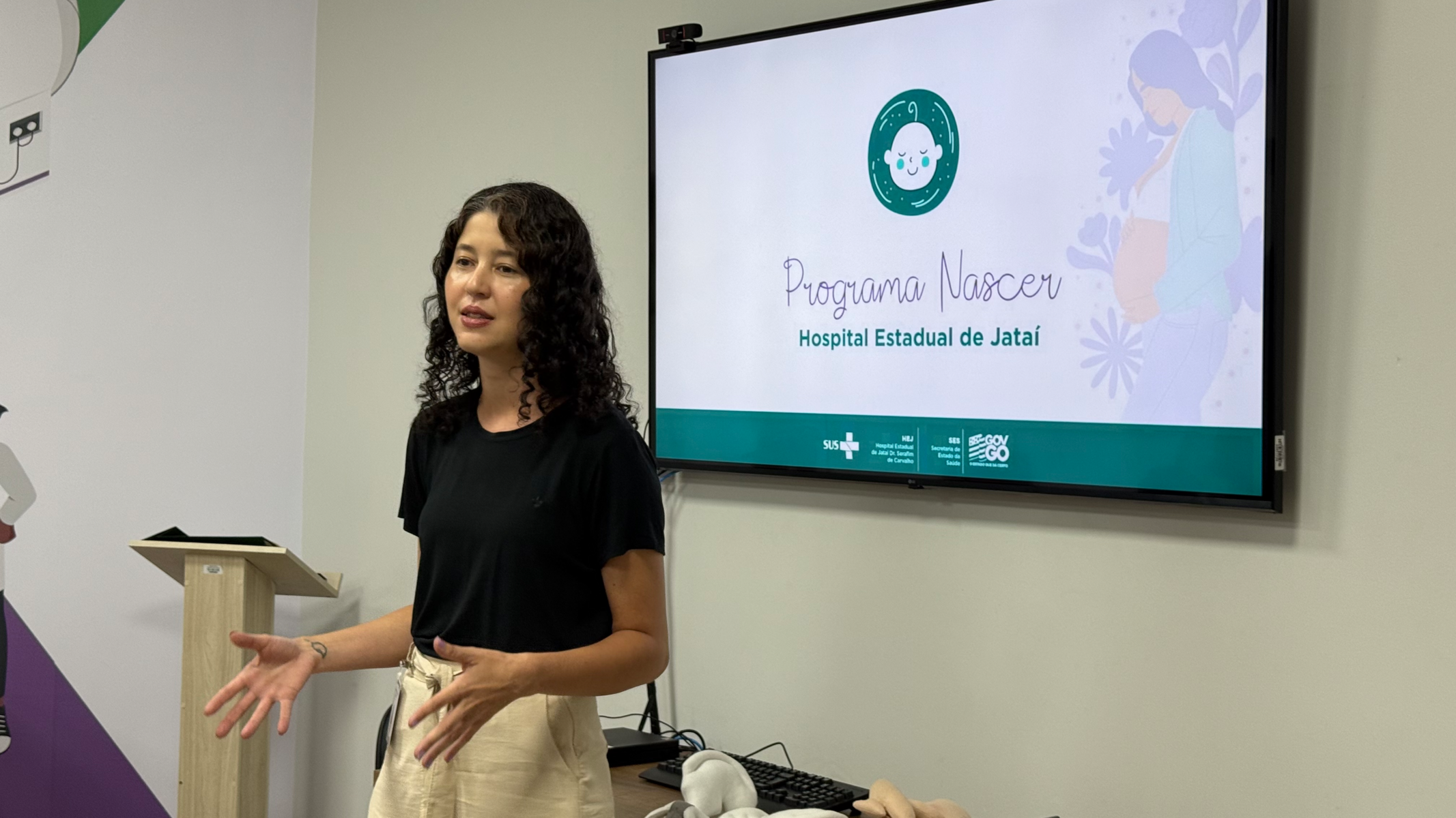 PROGRAMA-NASCER-HEJ-_1_ - Copia.png